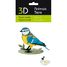 Modello 3D in carta Cinciarella FR-11764 Fridolin 3