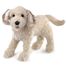 Burattino a mano Cane Labradoodle FO-3136 Folkmanis 1
