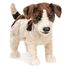 Burattino a mano Jack Russell Terrier FO-2848 Folkmanis 1