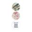 Microscopio 40 esperimenti BUK-MR800 Buki France 4