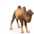 Figurina di cammello battriano PA50129-3371 Papo 2