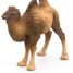 Figurina di cammello battriano PA50129-3371 Papo 4