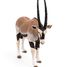 Statuetta di antilope Oryx PA50139-4529 Papo 5
