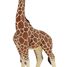Figurina di giraffa maschio PA50149-3612 Papo 5
