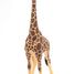 Figurina di giraffa maschio PA50149-3612 Papo 3