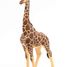 Figurina di giraffa maschio PA50149-3612 Papo 2