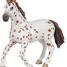 Figurina della cavalla Appaloosa PA51509-2918 Papo 7