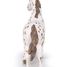 Figurina della cavalla Appaloosa PA51509-2918 Papo 5