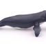Figurina di balena megattera PA56001-2933 Papo 2