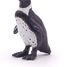 Figurina del Pinguino del Capo PA56017 Papo 3