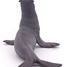 Figurina del leone marino PA56025-4755 Papo 4