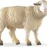 Figurina di pecore merino PA51041-2941 Papo 5