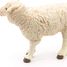 Figurina di pecore merino PA51041-2941 Papo 4