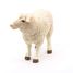 Figurina di pecore merino PA51041-2941 Papo 3