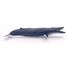 Balenottera azzurra PA56037 Papo 2