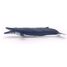 Balenottera azzurra PA56037 Papo 6