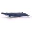 Balenottera azzurra PA56037 Papo 4