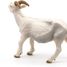 Figurina di capra dalle corna bianche PA51144-2947 Papo 7