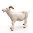 Figurina di capra dalle corna bianche PA51144-2947 Papo 3