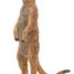 Figurina di suricato in piedi PA50206 Papo 5