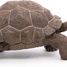 Statuetta di tartaruga delle Galapagos PA50161-3929 Papo 7