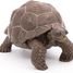 Statuetta di tartaruga delle Galapagos PA50161-3929 Papo 6