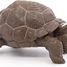 Statuetta di tartaruga delle Galapagos PA50161-3929 Papo 4