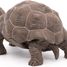 Statuetta di tartaruga delle Galapagos PA50161-3929 Papo 3