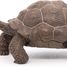 Statuetta di tartaruga delle Galapagos PA50161-3929 Papo 2