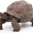 Statuetta di tartaruga delle Galapagos PA50161-3929 Papo 1