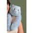 Peluche gatto blu con peso 50 cm HO3480 Histoire d'Ours 2