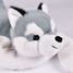 Peluche cane Husky con peso 50 cm HO3408 Histoire d'Ours 2