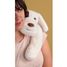 Peluche cane con peso 50 cm HO3479 Histoire d'Ours 4