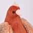 Peluche gallina con uova dorate 28 cm HO3447 Histoire d'Ours 2