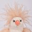 Peluche Gallina con effetto crespo 20 cm HO3446 Histoire d'Ours 2