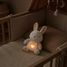 Coniglio di peluche che respira DC4685 Doudou et Compagnie 5