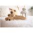 Targa decorativa personalizzabile - Stelle VI-PL47 Vintiun 3
