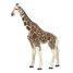 Figurina della giraffa PA50096-2914 Papo 1