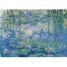 Puzzle Ninfee Claude Monet 1000 pezzi RAV12000194 Ravensburger 2