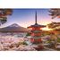 Puzzle Fioritura dei ciliegi sul Monte Fuji 1000 pezzi RAV12000582 Ravensburger 2