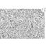 Puzzle di Keith Haring 500 pezzi V9223 Vilac 1