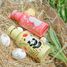Bottiglia in acciaio 500 ml Gnummy il panda SJ-SB2287 Sassi Junior 5