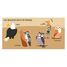 Libro e puzzle Gli uccelli SJ-329331 Sassi Junior 5