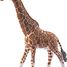 Statuetta di giraffa maschio SC-14749 Schleich 4