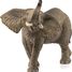 Figurina maschio dell'elefante africano SC-14762 Schleich 1