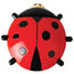 Termometro a coccinella ED-TH57 Esschert Design 3