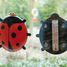 Termometro a coccinella ED-TH57 Esschert Design 4