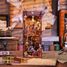 Book Nook Agenzia Investigativa Violin T-TQ117 Tonecheer 2