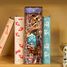 Book Nook Stanza delle stelle magiche T-TQ142 Tonecheer 2