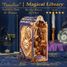 Book Nook Biblioteca magica T-TQ134 Tonecheer 3